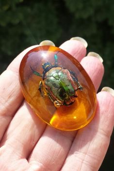 a hand holding a small glass crab in it's right hand with trees in the background