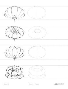 how to draw flowers step by step