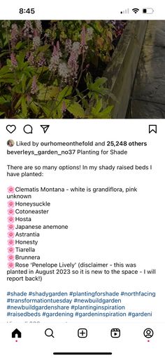 an instagram page with flowers and plants in the back ground, on which there is a text message