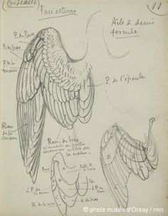 a drawing of an eagle with its wings spread out and the words written on it