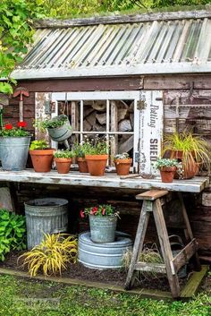 an old shed with many potted plants on it