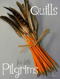 there is a bunch of feathers on top of the words quills for little pilgrims