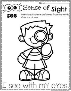 Sense of Sight Coloring Page for Preschool - Preschool 5 Senses Unit 5 Senses Seeing Activities, 5 Senses Coloring Page, 5 Senses Coloring Page Preschool, Five Senses Crafts For Preschool, My 5 Senses