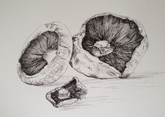 a drawing of two pieces of fruit sitting next to each other