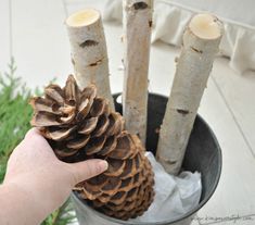 a hand is holding a pine cone in a metal container with some logs sticking out of it