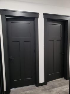 two black doors in a white room