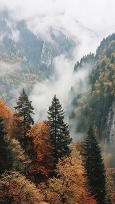 the mountains are covered in fog and trees with yellow leaves on them, as well as clouds