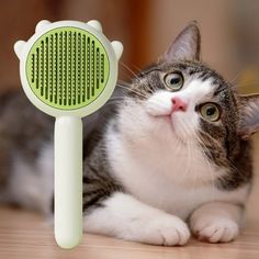 a gray and white cat laying next to a green brush on top of a wooden floor