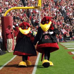 two mascot dressed in black and red are walking on the field at a football game