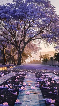 purple flowers on the ground in front of a large tree with lots of pink petals