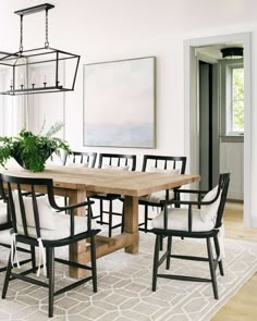 a dining room table with chairs and a potted plant in the center is surrounded by an area rug