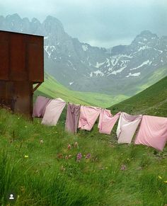 there are many pink clothes hanging on the line in front of a building and mountains