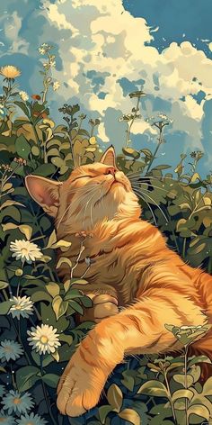 an orange cat laying on its back in a field of flowers with clouds behind it