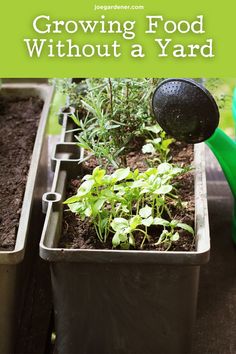 an image of a garden with plants growing in it and the words dicass para criar uma horta no seu apartmento