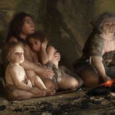 Homo Heidelbergensis, Human Dna, Human Genome, Human Evolution, Early Humans, Space News, Ancient Origins, Human Species, Charles Darwin