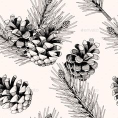 pine cones and needles on a white background - stock photo - images gratien