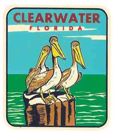 two pelicans sitting on top of a wooden post near the ocean with clearwater florida in the background