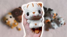 small crocheted kittens are being held up by someone's hand with other cats in the background