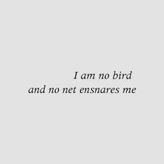 the words i am no bird and no net ensurress me