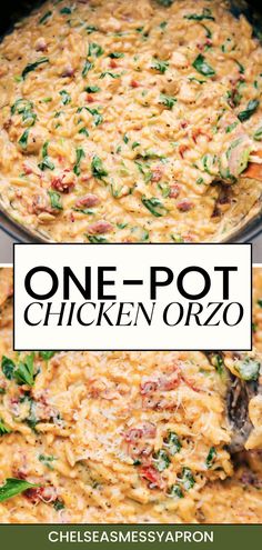 one pot chicken orzo is an easy and delicious dinner that's ready in under 30 minutes