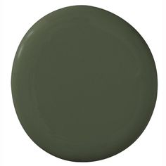 a dark green plate on a white background