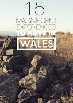 rocks and grass with the text 15 magnificent experiences to have in wales