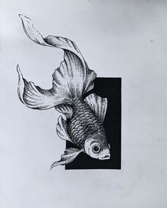 a black and white drawing of a goldfish in a square with its tail sticking out