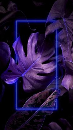 a purple neon frame surrounded by plants and leaves on a black background with a blue rectangle in the middle