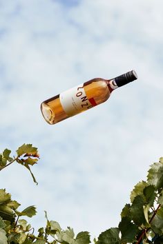 a bottle of wine is flying through the air above some green leaves on a tree