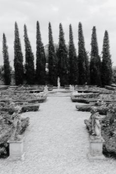 black and white photograph of an outdoor garden with many trees in the backround