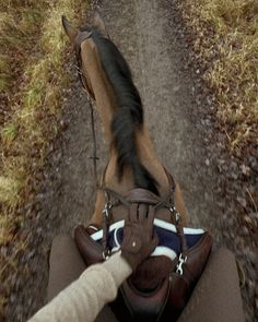 the horse is being led down the road by its owner's hand as they ride on their horses