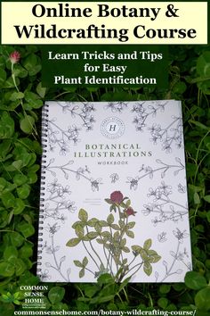 a book with flowers on it and the title, online botany & wildcrafting course