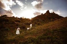 two women in white dresses are walking up a hill with their dogs and the sun is setting behind them