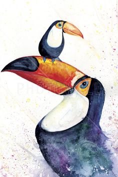 two toucans sitting on top of each other in front of watercolor paint