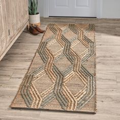 a rug on the floor in front of a door with a potted plant next to it