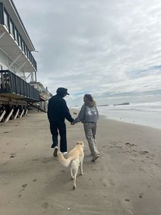 a man and woman walking on the beach with a dog next to an ocean front building