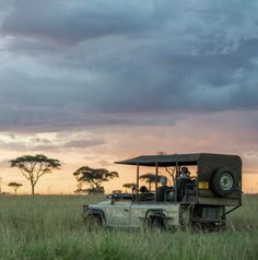 a safari vehicle is parked in the middle of tall grass as the sun goes down