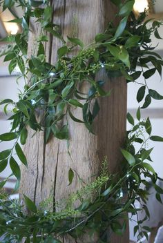 a wooden pole with some green leaves on it