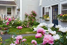 pink and white flowers in front of a house