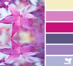 a color palette with pink, purple and green leaves