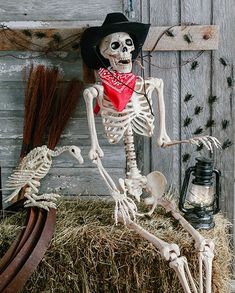 a skeleton sitting on top of hay with a red bandanna around it's neck