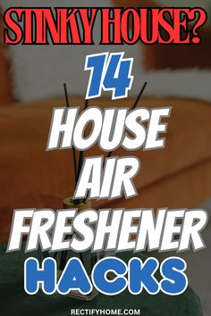 Homemade air freshener recipes and cleaning tips for a fresh-smelling home Make Your House Smell Amazing