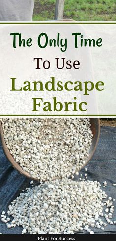 the only time to use landscape fabric