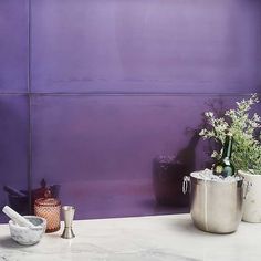 two pots with plants in front of a purple wall