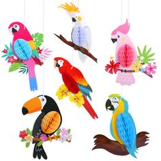 PRICES MAY VARY. 6 pieces vivid paper birds home decorations in 6 different styles. The tropical parrot approx. 10" tall, with strings attached. Quality thick cardboard with tissue paper design, will not break easily, can be used many times. Printed on double sides, you can hang from the ceiling, tree branches, yard and etc. Great addition for luau party decorations for kids and adults, hawaiian themed party decorations, baby shower, birthday, summer party decorations, Jungle theme party decor . Tiki Bar Party, Tiki Party Decorations, Bar Party Decor, Luau Party Favors, Theme Carnaval, Hawaiian Party Theme, Party Decoration Items, Luau Party Supplies, Luau Party Decorations