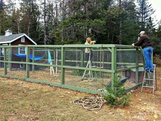 a man standing on top of a green fence next to a chicken coop with chickens in it