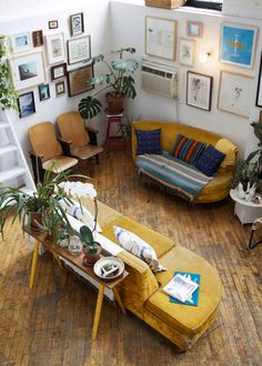 a living room filled with furniture and lots of plants