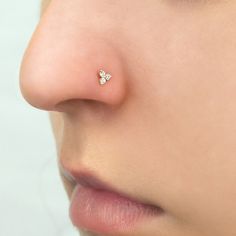 a woman's nose has a tiny diamond stud on it