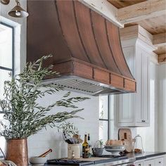 a kitchen with an oven, stove and potted plant on the counter in front of it