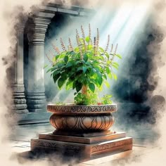 a potted plant sitting on top of a stone pedestal in front of an archway